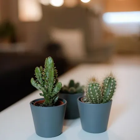 Urban Jasmine Apartment *